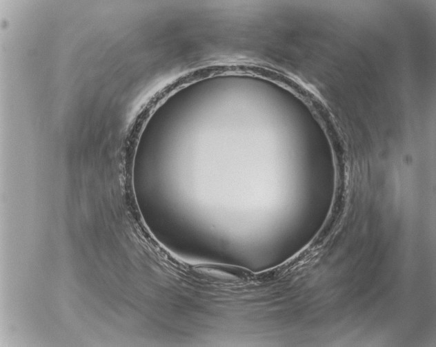 X0000052601311200507292113