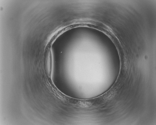 X0000052601312200507292113