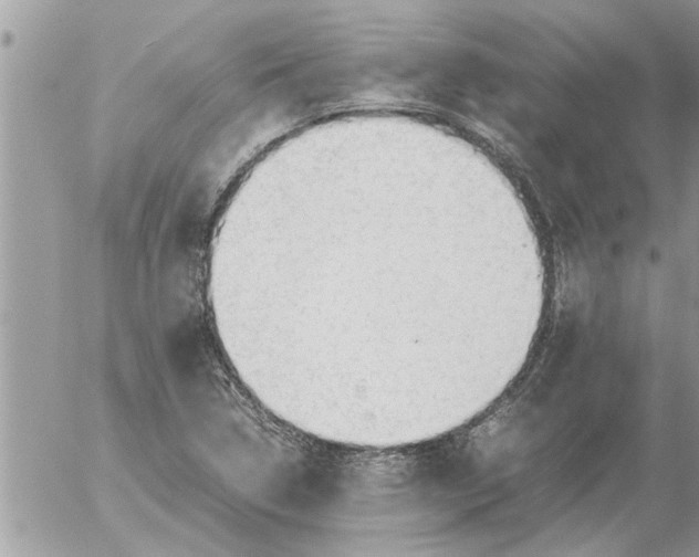 X0000052601314200507292113