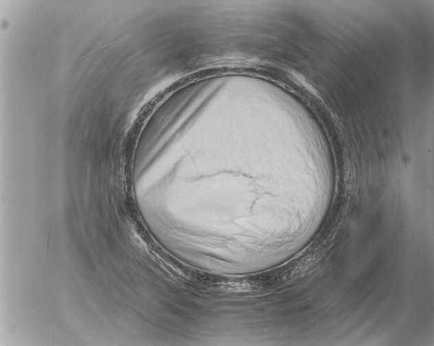 X0000052601315200507292113