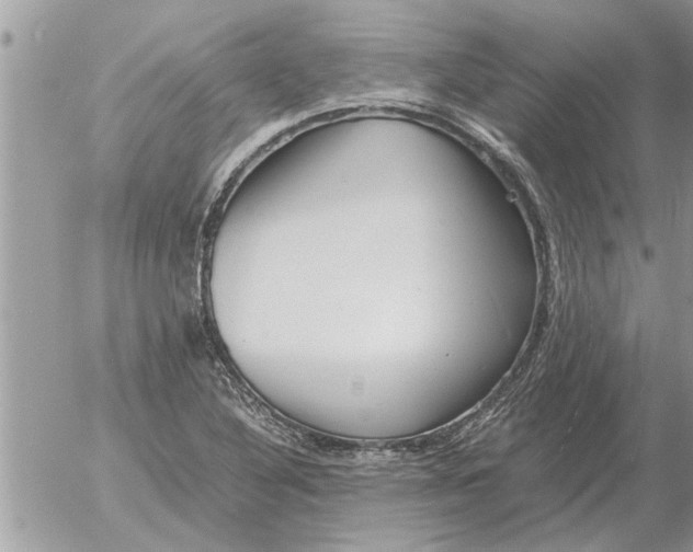 X0000052601316200507292113