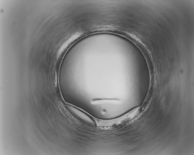 X0000052601317200507292113