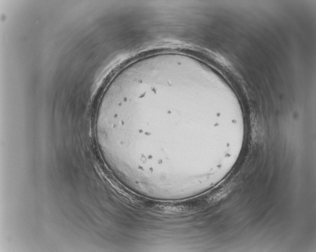 X0000052601318200507292113