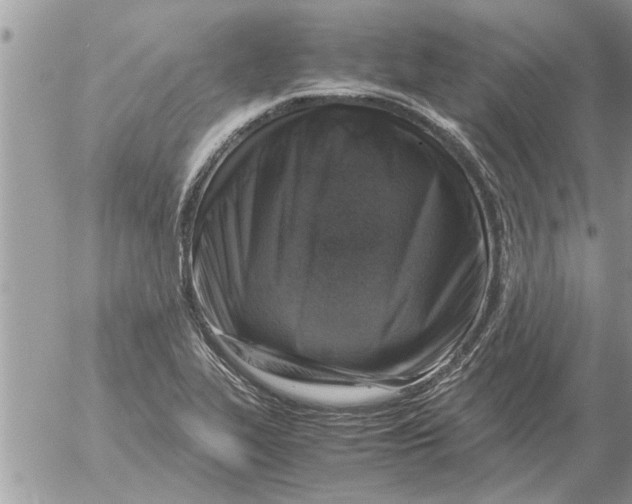 X0000052601319200507292113