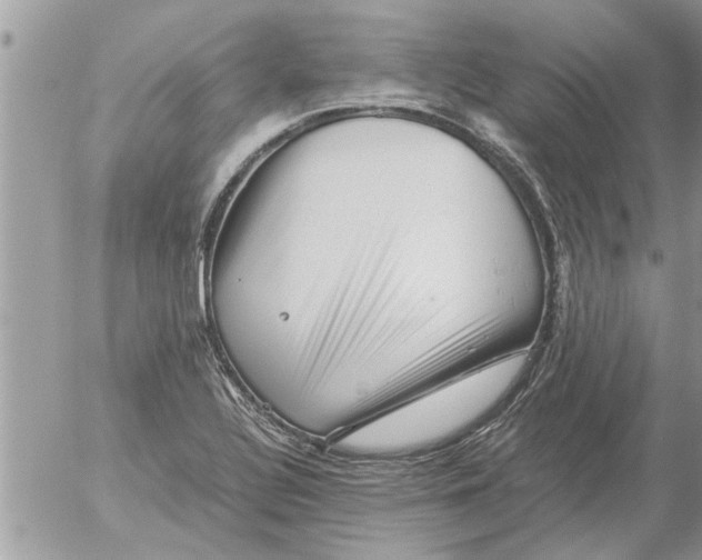 X0000052601320200507292113