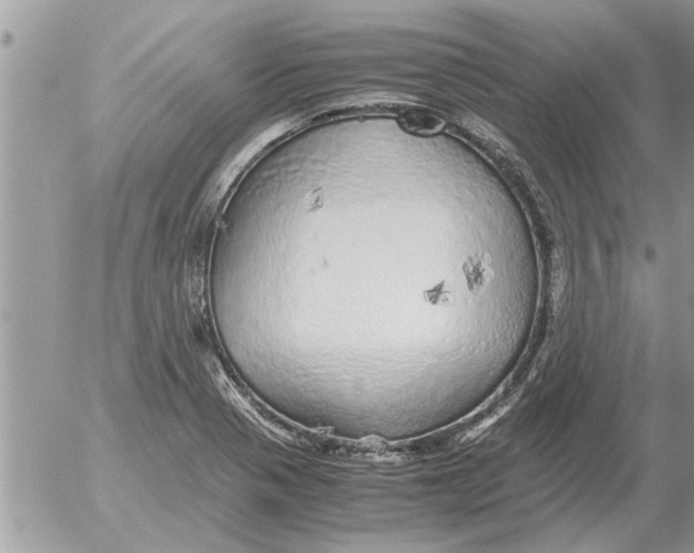 X0000052601321200507292113