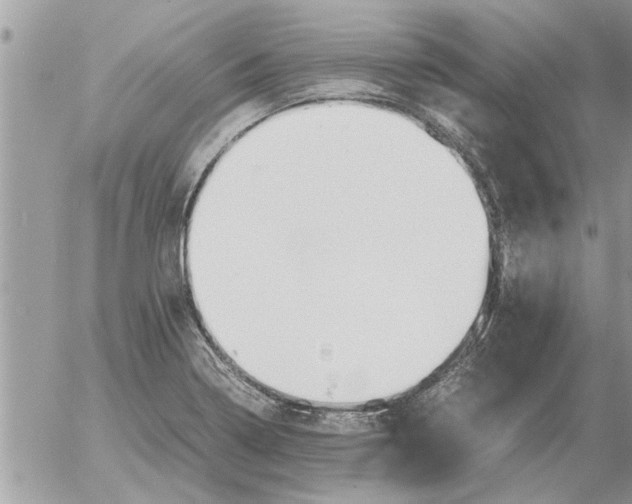 X0000052601322200507292113