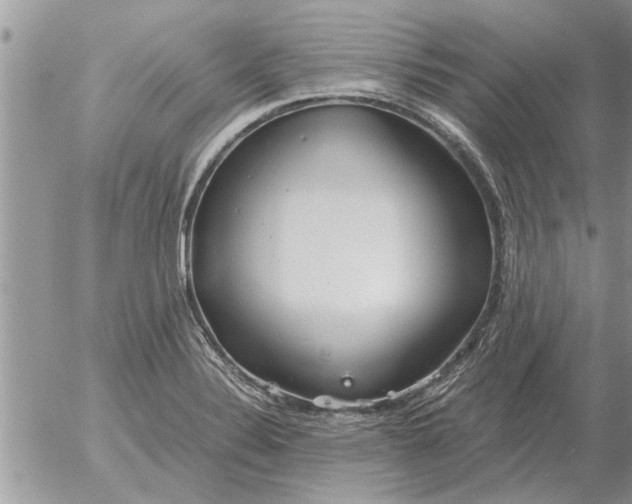 X0000052601324200507292113