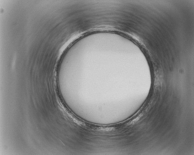 X0000052601325200507292113