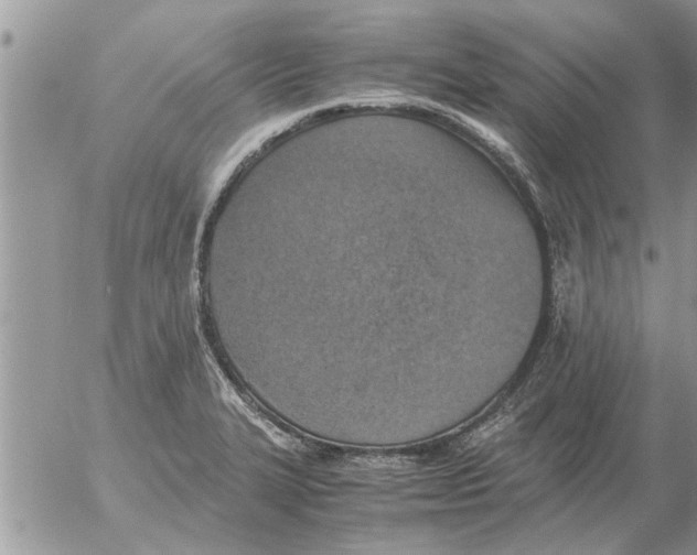 X0000052601327200507292113