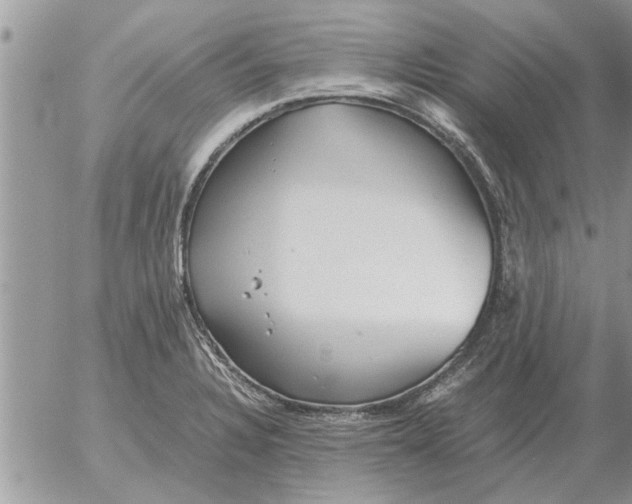 X0000052601328200507292113