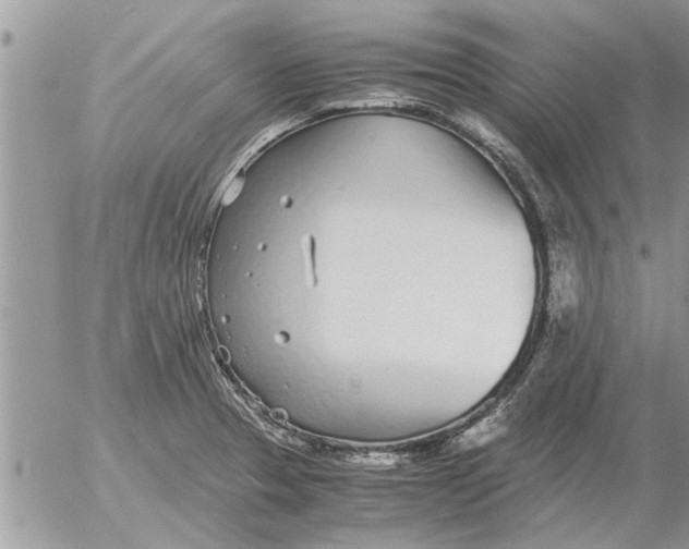 X0000052601329200507292113