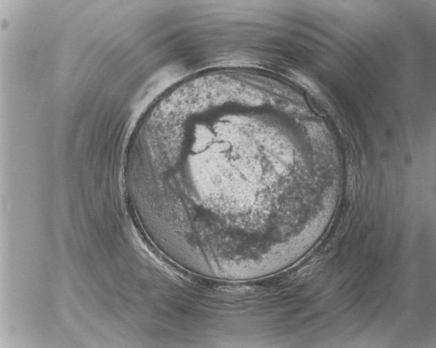 X0000052601331200507292113