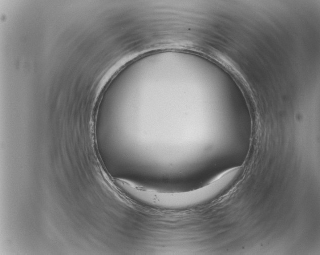 X0000052601332200507292113