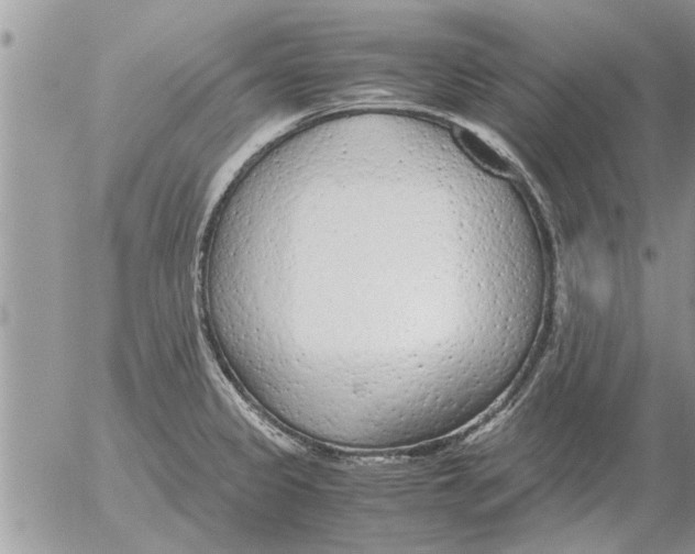 X0000052601333200507292113