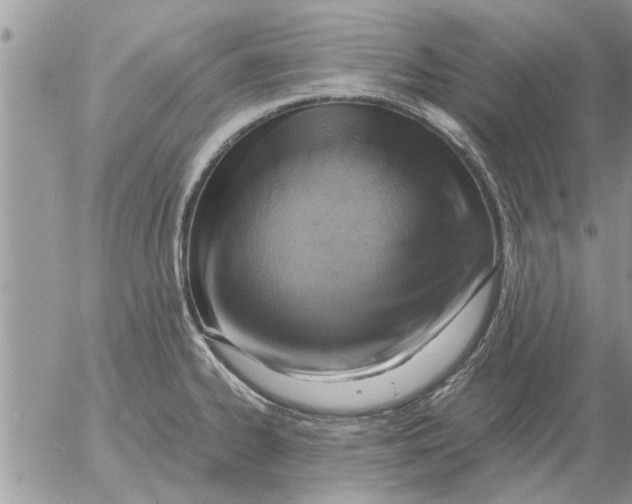 X0000052601334200507292113