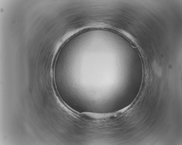 X0000052601335200507292113