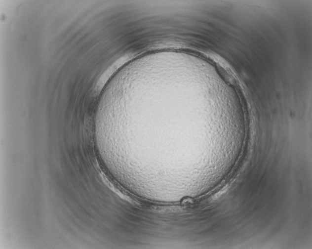 X0000052601337200507292113