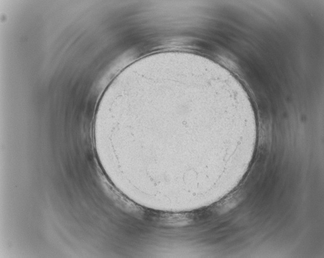 X0000052601338200507292113