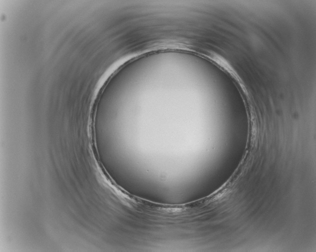 X0000052601339200507292113