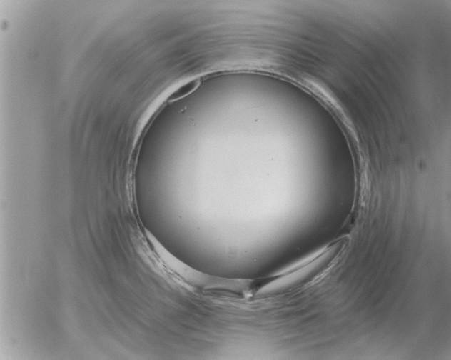 X0000052601340200507292113