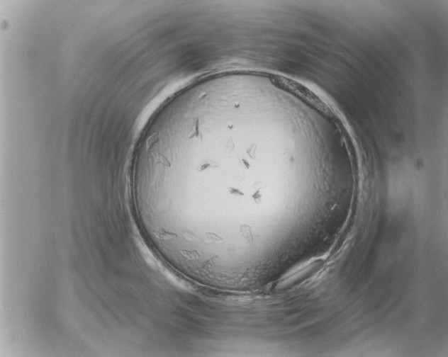 X0000052601341200507292113