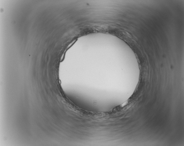 X0000052601345200507292112