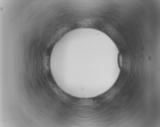 X0000052601346200507292112