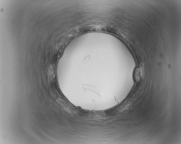 X0000052601347200507292112