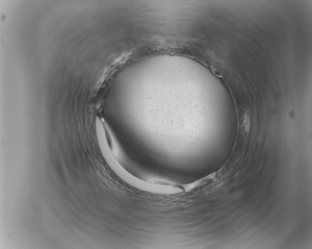 X0000052601348200507292112