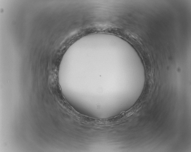 X0000052601349200507292112