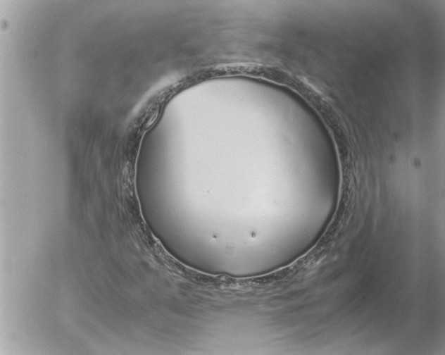 X0000052601351200507292112