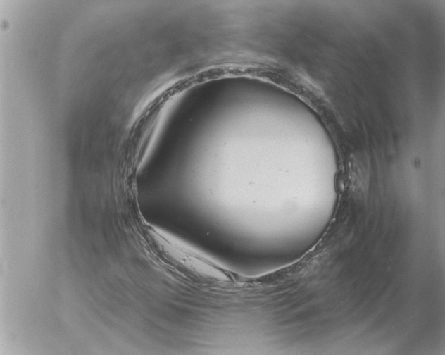 X0000052601352200507292112