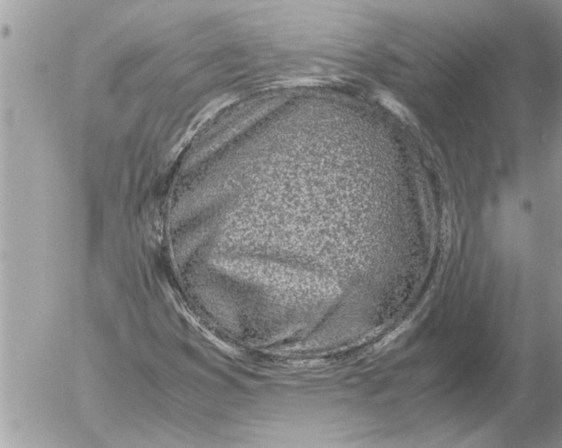 X0000052601353200507292112