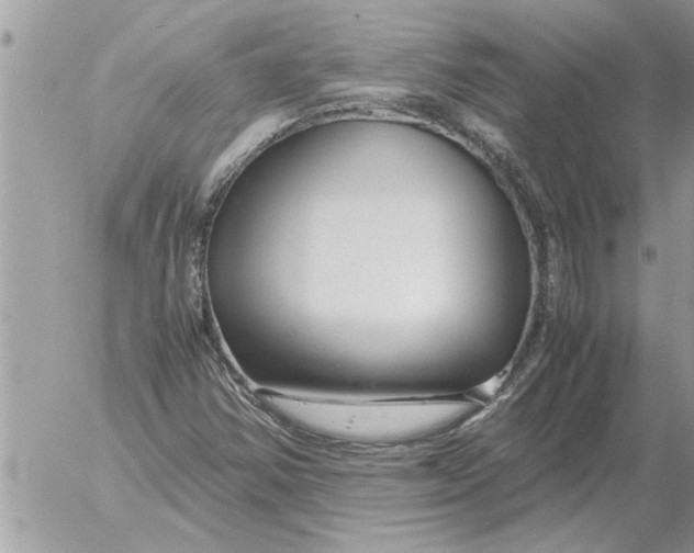 X0000052601354200507292112