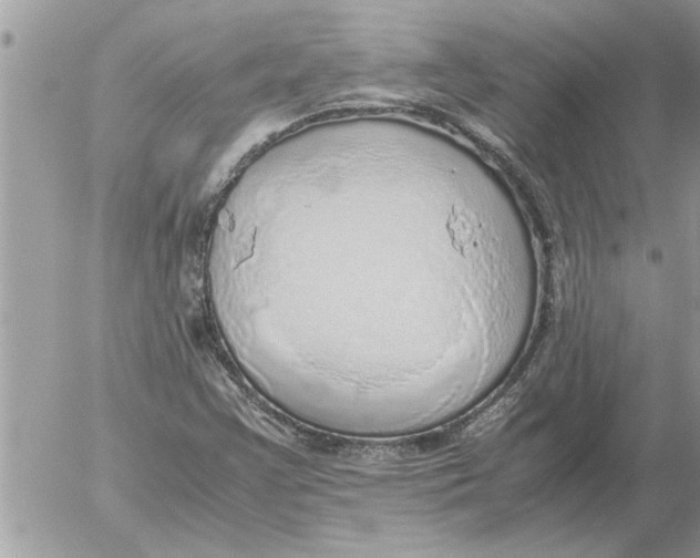 X0000052601355200507292112