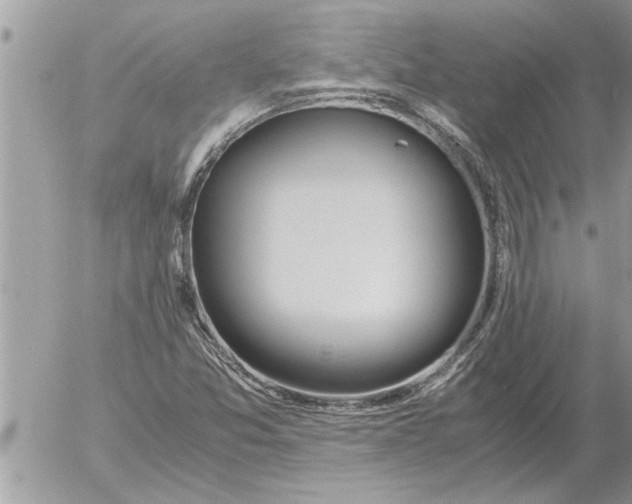 X0000052601357200507292112