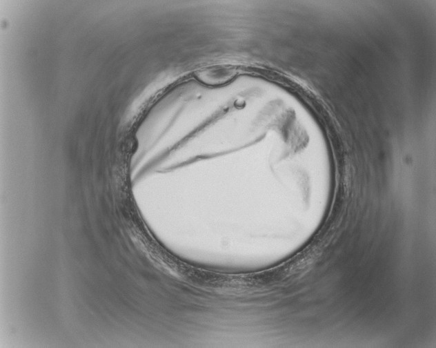 X0000052601359200507292112