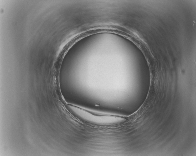 X0000052601360200507292112