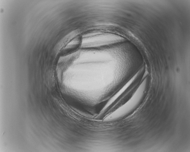 X0000052601362200507292112