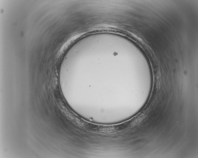 X0000052601363200507292112