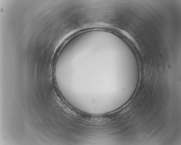 X0000052601364200507292112