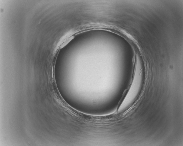 X0000052601365200507292112