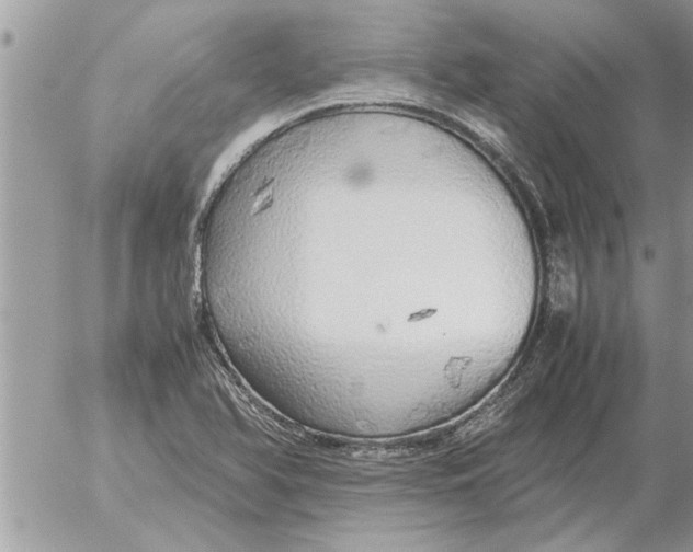 X0000052601366200507292112