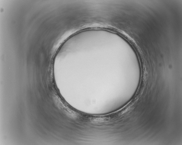 X0000052601367200507292112