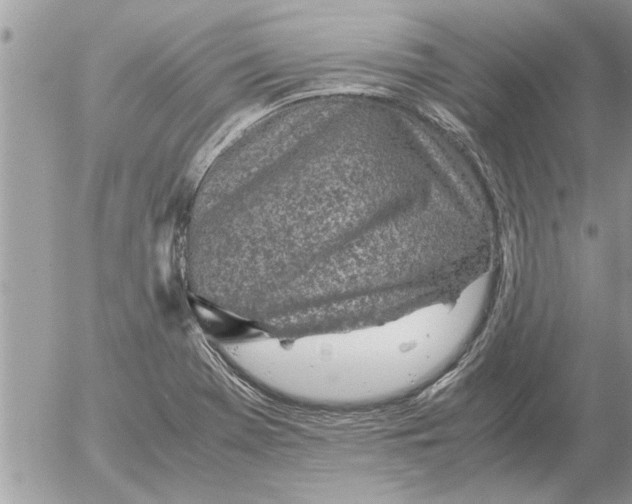 X0000052601369200507292112