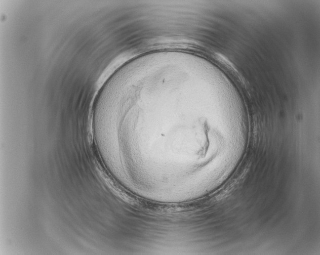 X0000052601370200507292112