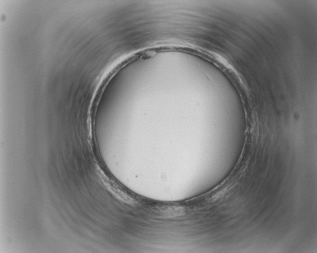 X0000052601372200507292112