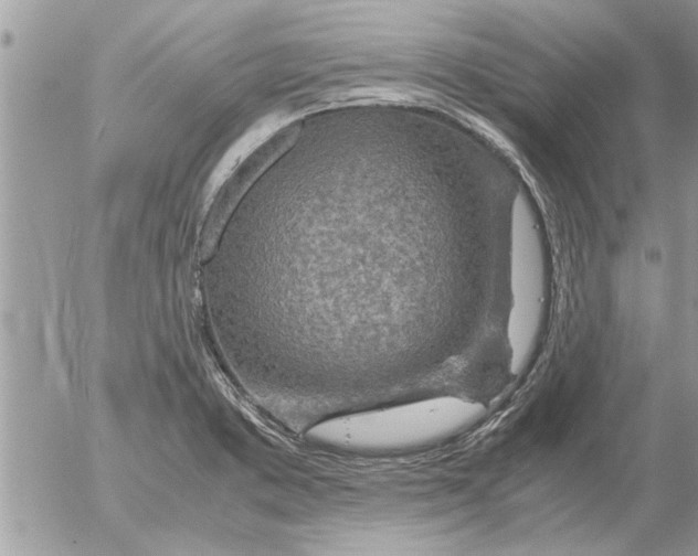 X0000052601373200507292112