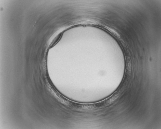 X0000052601375200507292112